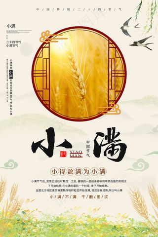 手绘24传统节气小满节日海报