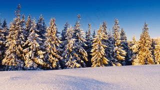 冬季冬天白色山峰白雪