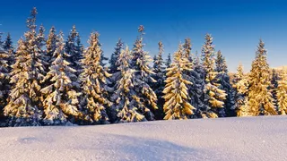冬季冬天白色山峰白雪