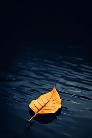 蓝色大气秋叶简约背景