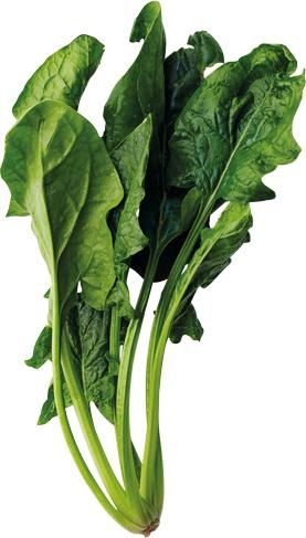 菠菜免抠(277x487)