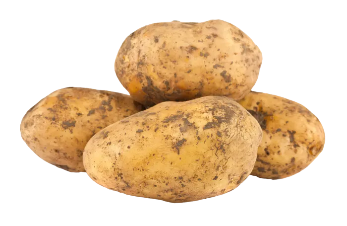 土豆 (3)超市商品白底图免抠实物摄影png格式图片透明底