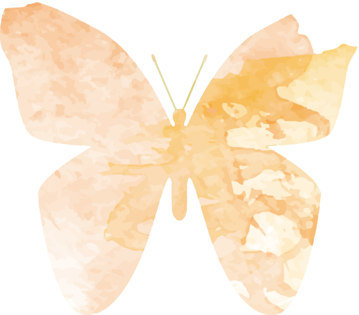 卡通动画动画蝴蝶免扣PNG手绘插画图片素材 (109)