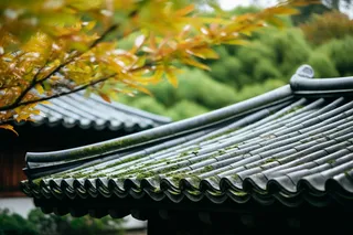 秋季雨过江南建筑屋檐摄影图