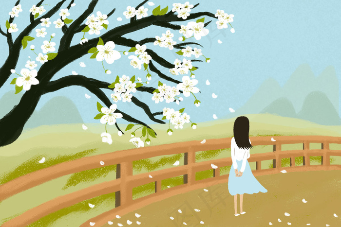 四月梨花落少女背影插画