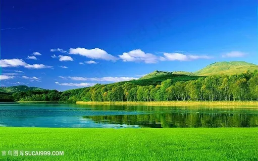 草地树林天空风景图 草地树林天空风景图