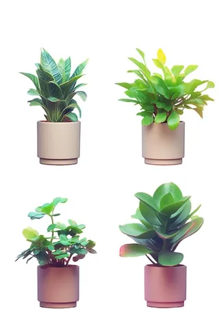 绿色植物盆栽插画元素