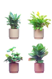 绿色植物盆栽插画元素 绿色植物盆栽插画元素