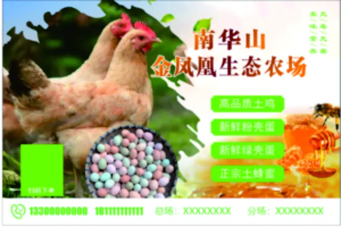 土鸡土鸡蛋生态农场 天然蜂蜜海报