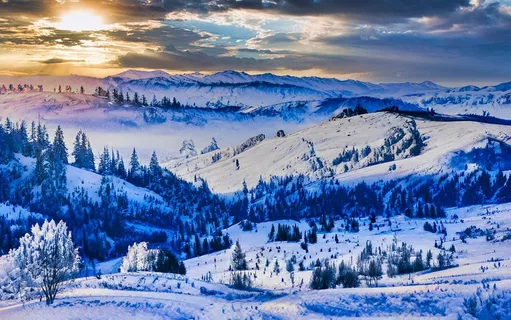 冬天自然背景风景 冬天自然背景风景