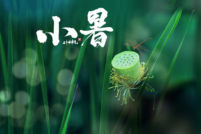 创意简约小暑节日