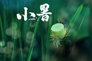 创意简约小暑节日