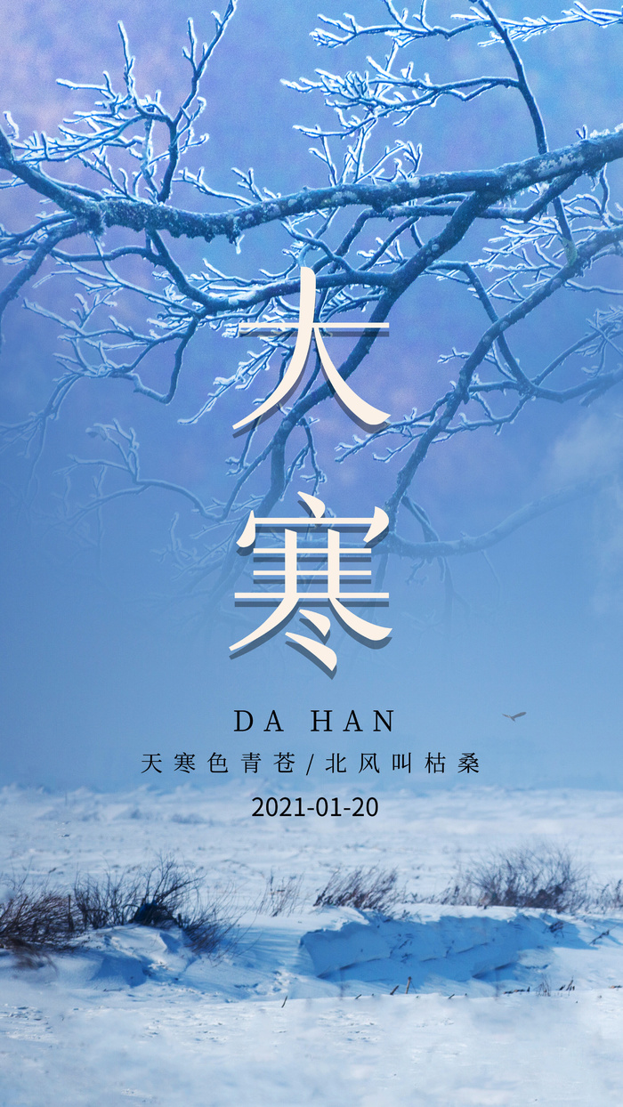 二十四24节气大寒中国传统节日冬季海报模设计素材psd模版下载