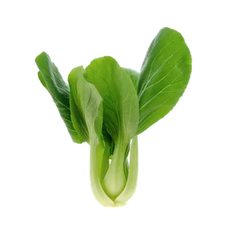 上海青 (18)超市商品白底图免抠实物摄影png格式图片透明底