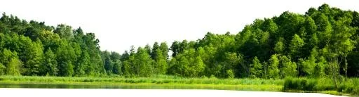 森林 PNG免抠(3500x946)