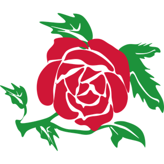 红色野玫瑰镂空简笔画