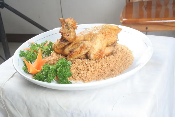 16大漠风沙鸡-  家院