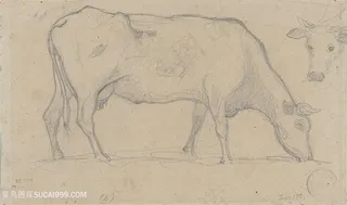 柯罗手绘线描牛装饰画