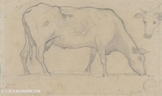 柯罗手绘线描牛装饰画 柯罗手绘线描牛装饰画