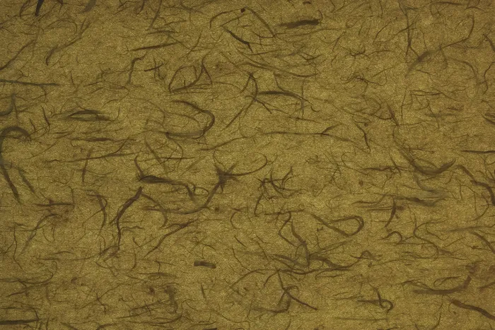 复古风信封花纹条纹横板图片背景素材PNG (147)