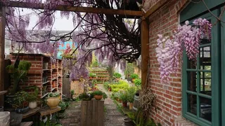 梦想的桃源生活--花房