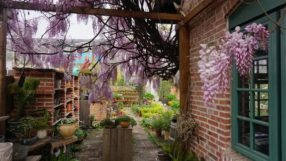 梦想的桃源生活--花房 梦想的桃源生活--花房