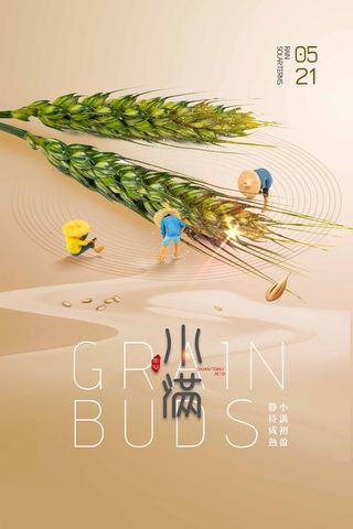 小满 传统节气海报