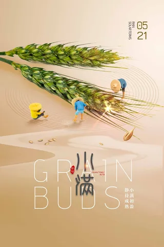 小满 传统节气海报