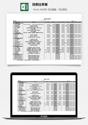 财务比率表excel模板预览图