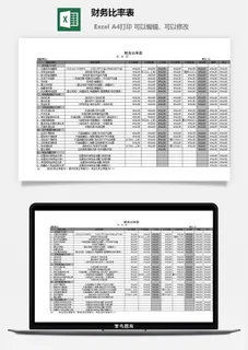 财务比率表excel模板 财务比率表excel模板