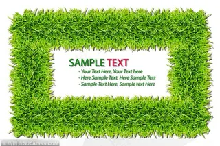 草地背景-方形的草地背景