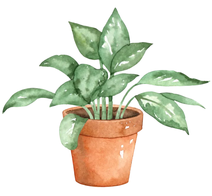 树叶花草植物免扣植物水彩插画设计素材