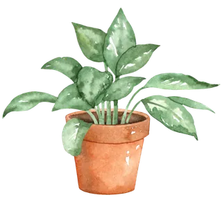 树叶花草植物免扣植物水彩插画设计素材