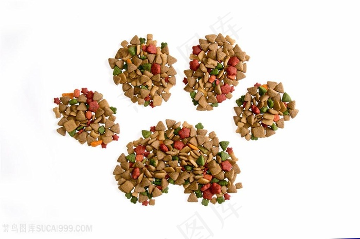 创意狗粮猫粮食物写真