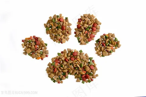 创意狗粮猫粮食物写真 创意狗粮猫粮食物写真