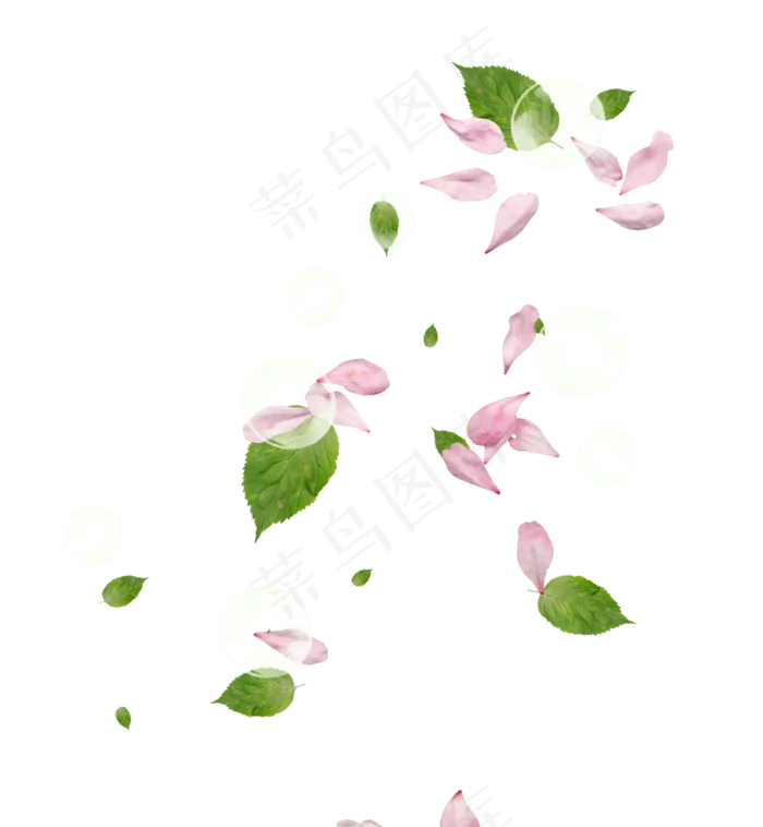 花瓣花朵免扣图片  