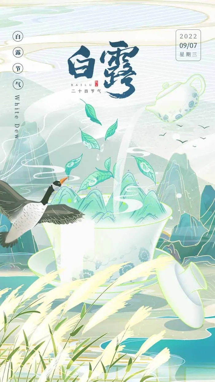 简约白露活动海报素材