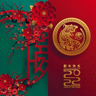 农历2022春节虎年新年快乐剪纸插画海报红色背景展板