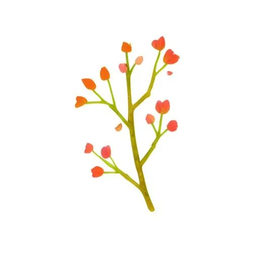 树枝花免抠(2048x2048)