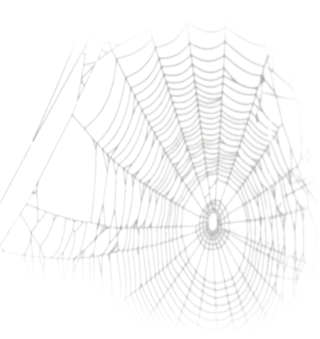 蜘蛛网卡通