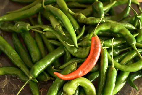 绿色尖辣椒蔬菜图片 绿色尖辣椒蔬菜图片