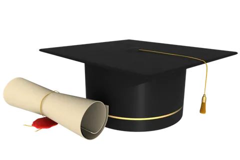 毕业季 合同 卷起来 海豹 邮票