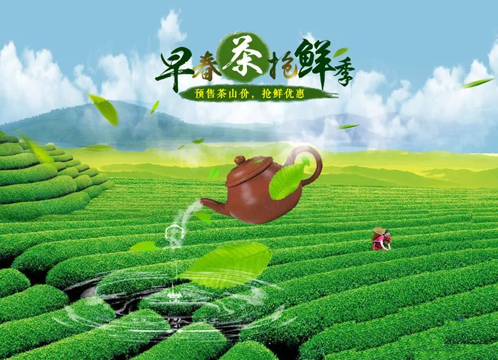 春茶上市茶叶psd背景psd模版下载