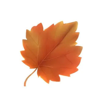 叶子树叶枫叶免抠 叶子树叶枫叶免抠