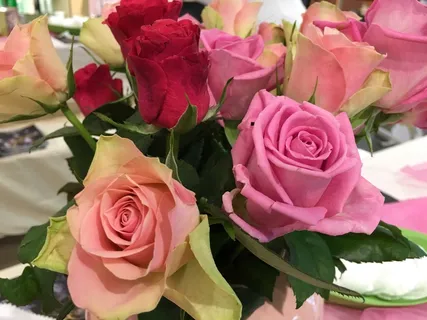 浪漫玫瑰花朵花束图片 浪漫玫瑰花朵花束图片