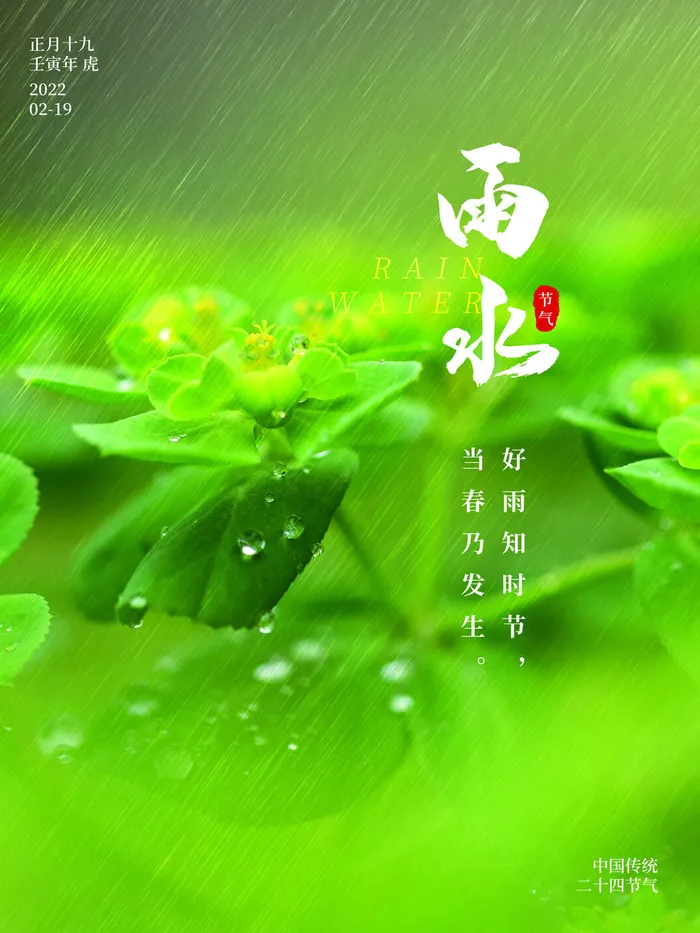 创意24节日二十四节气雨水春节春天宣传祝福海报模板PSD设计素材psd模版下载