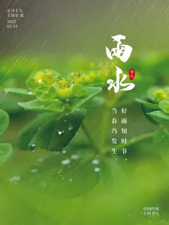 创意24节日二十四节气雨水春节春天宣传祝福海报模板PSD设计素材