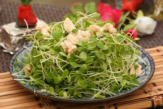 香椿苗拌鲜仁16元