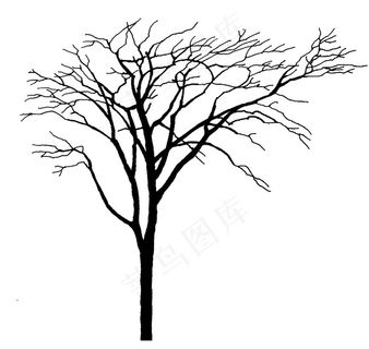 树木设计素材