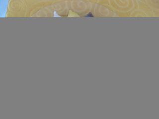 42  豉乡蒸排骨-老公社－1月